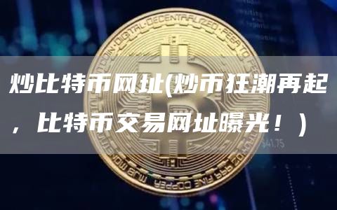 炒比特币网址 - 炒币狂潮再起，比特币交易网址曝光！